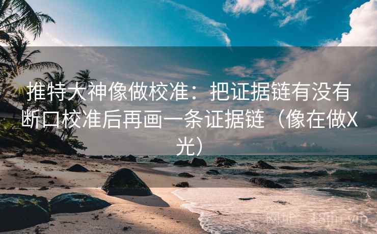 推特大神像做校准:把证据链有没有断口校准后再画一条证据链(像在做X光) 推特大神像做校准:把证据链有没有断口校准后再画一条证据链(像在做X光)